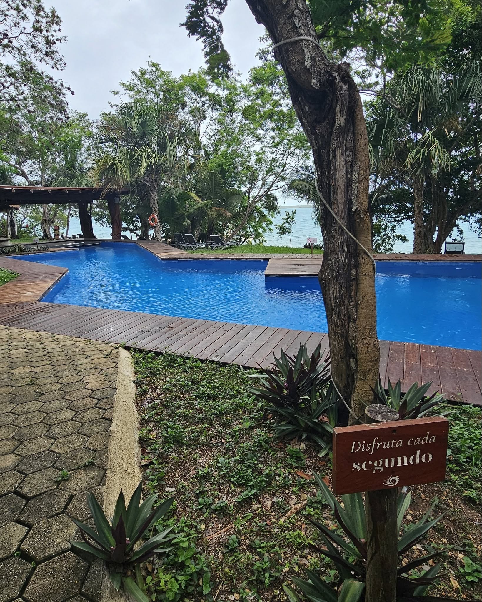 Enfoque Travel and Life