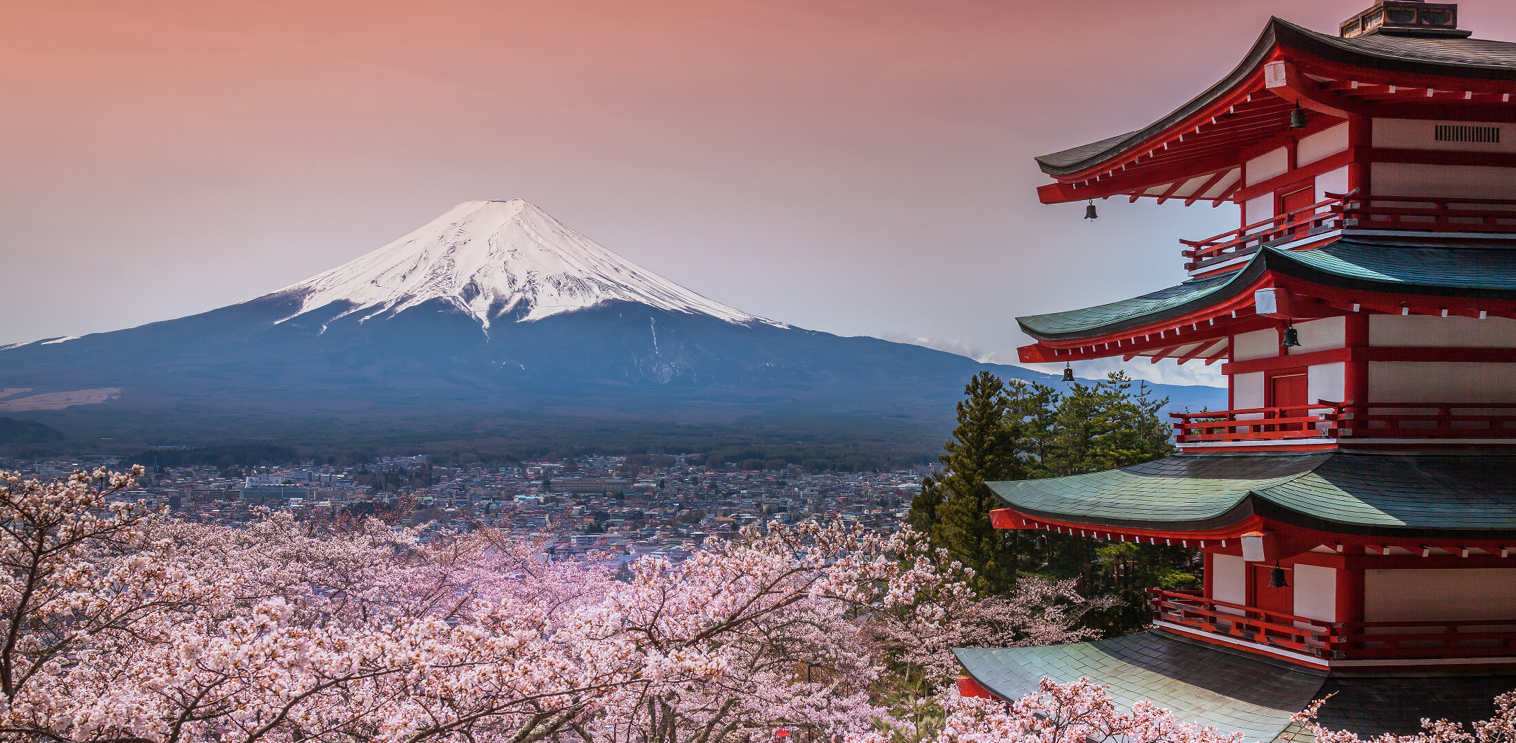 Travel and Life - Japón